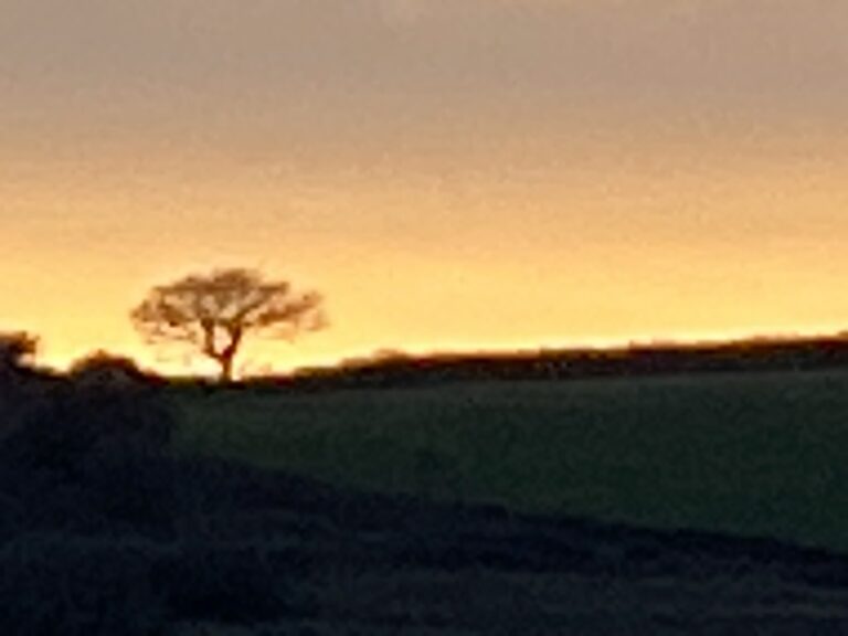 085FEF12-C271-4236-B5AF-439431583AD5_1_105_c