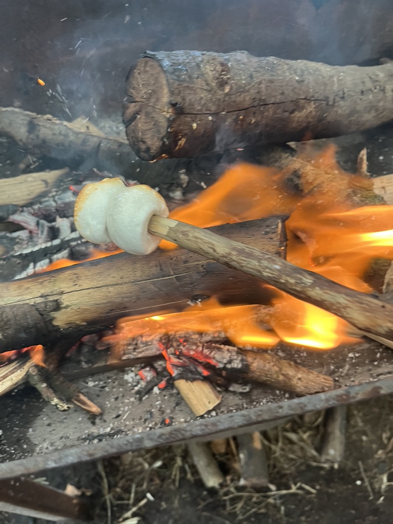 5F973CC7-4F1E-409F-BB2E-F76A4270C575_1_105_c