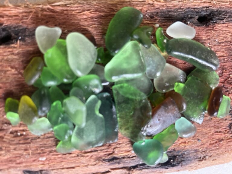 E3C80A7F-D95D-40AE-AC14-15895EEAE86E_1_105_c